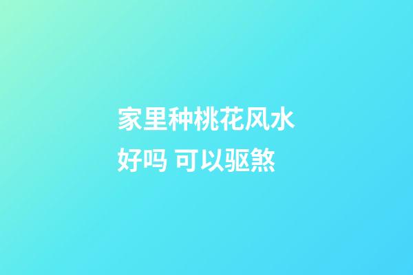家里种桃花风水好吗 可以驱煞